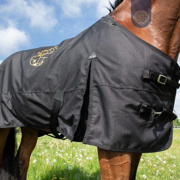 BIORELAX_Pferdedecke06 BIORELAX_Pferdedecke06