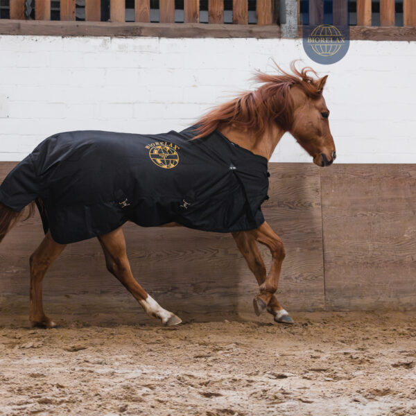 BIORELAX_Pferdedecke08 BIORELAX_Pferdedecke08