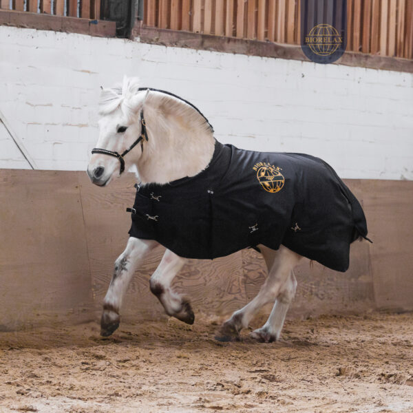 BIORELAX_Pferdedecke09 BIORELAX_Pferdedecke09